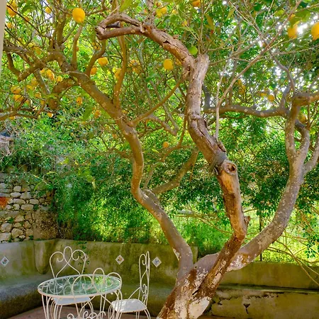 Maison d'hôtes Dorothee 3*