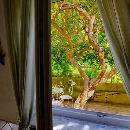 Guest house Dorothee Capri