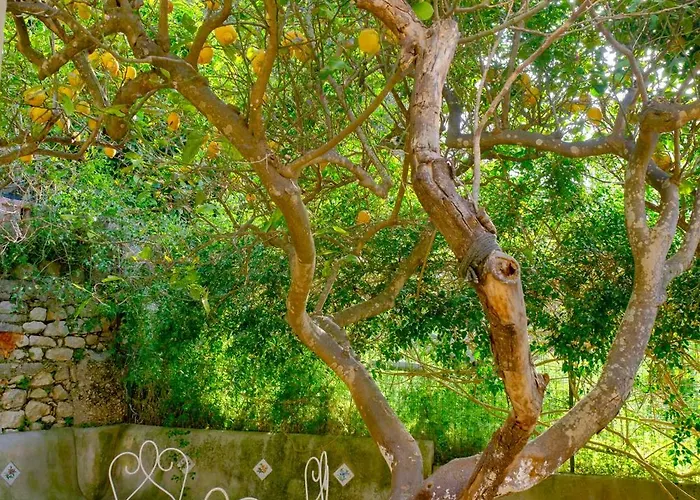 Gæstehus Dorothee 3*