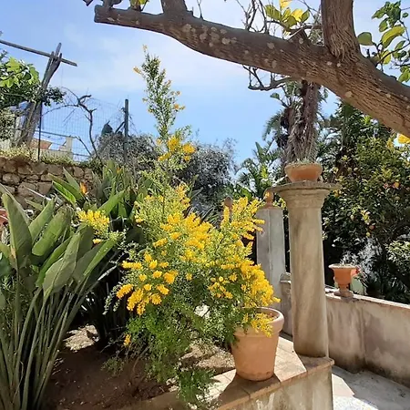 Dorothee 3* Κάπρι