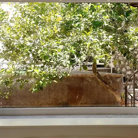 Dorothee Πανσιόν 3*