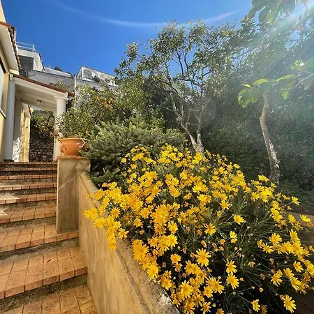 Πανσιόν Dorothee