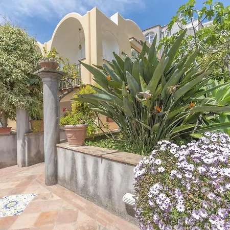 Πανσιόν Dorothee 3*