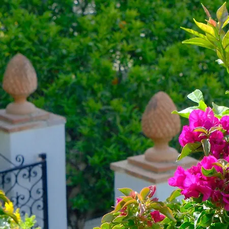 Dorothee Πανσιόν