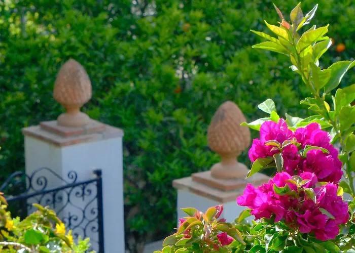 Dorothee Maison d'hôtes